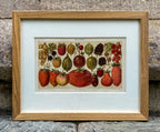 'Berries - Beerenobst' - 19th-Century Botanical Chromolithograph, Framed