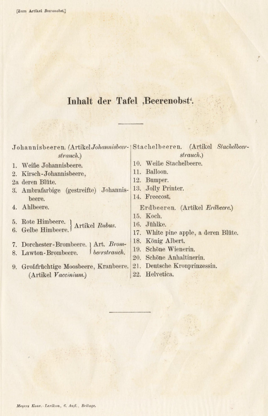 'Berries - Beerenobst' - 19th-Century Botanical Chromolithograph, Framed