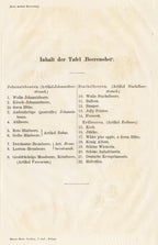 'Berries - Beerenobst' - 19th-Century Botanical Chromolithograph, Framed