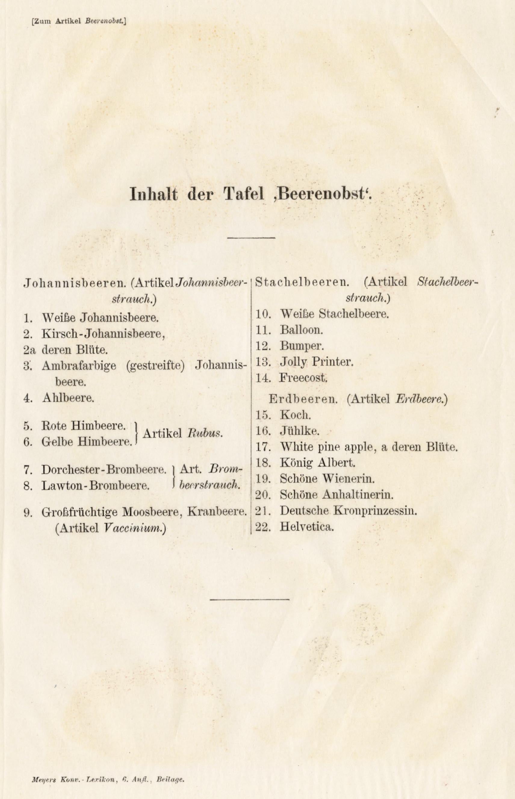 'Berries - Beerenobst' - 19th-Century Botanical Chromolithograph, Framed