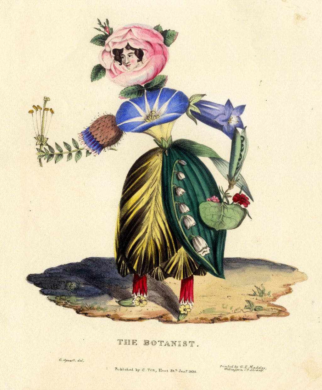'The Botanist' - Charming 19th Century Personification Print, Framed