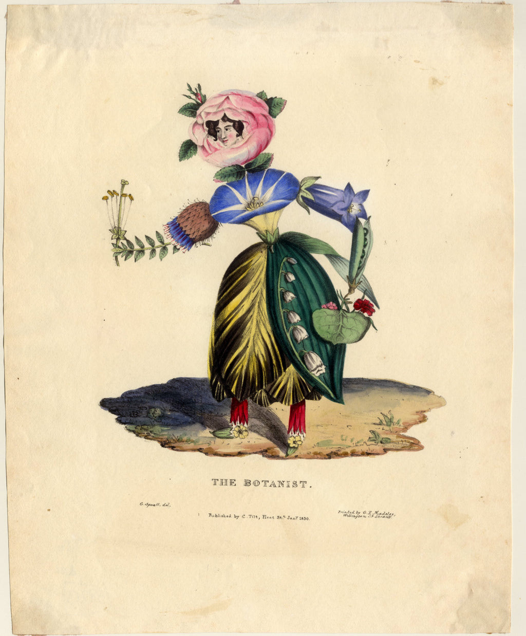 'The Botanist' - Charming 19th Century Personification Print, Framed