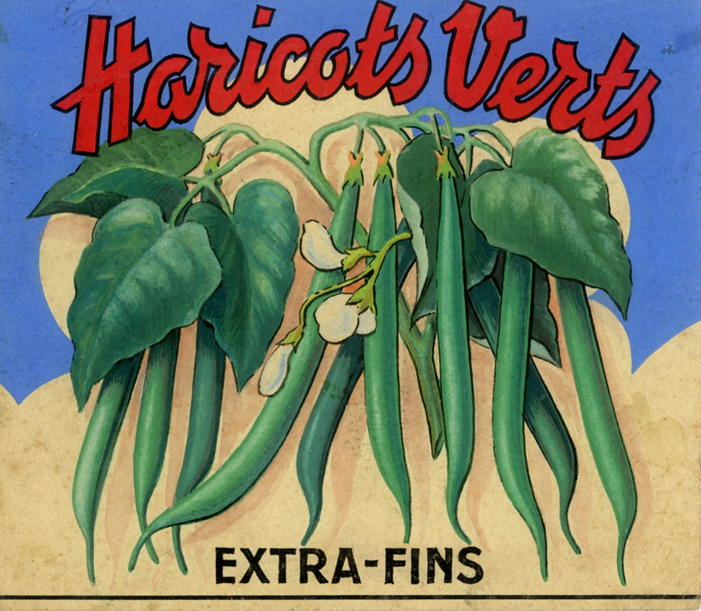 'Haricots Verts' - Original Gouache French Advertising Label for Green Beans, Framed