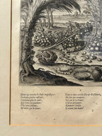 'Le Presens Rustique' - Early 17th-Century Engraving to illustrate Philostratus, Framed