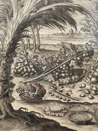 'Le Presens Rustique' - Early 17th-Century Engraving to illustrate Philostratus, Framed