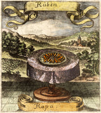 'Rüben or Rapa' - 17th-Century Hand-Coloured Engraving of Turnips, Framed