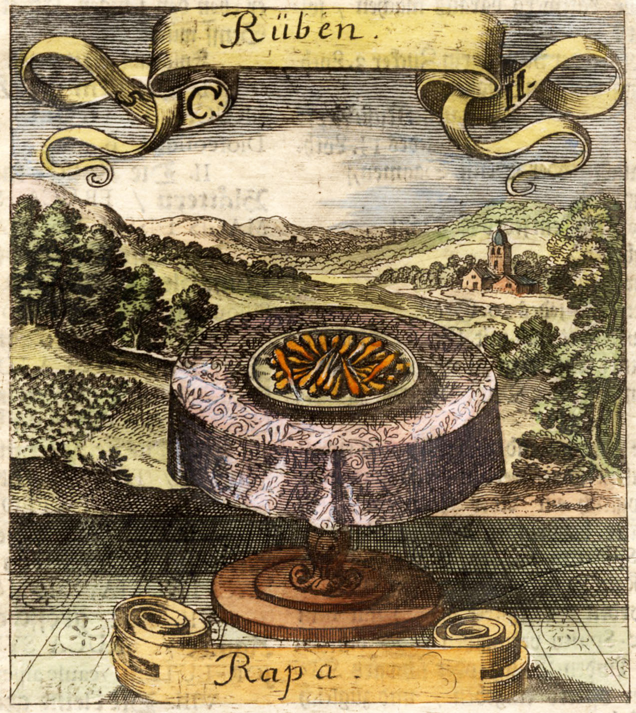 'Rüben or Rapa' - 17th-Century Hand-Coloured Engraving of Turnips, Framed