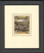 'Rüben or Rapa' - 17th-Century Hand-Coloured Engraving of Turnips, Framed