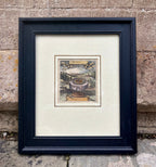 'Rüben or Rapa' - 17th-Century Hand-Coloured Engraving of Turnips, Framed